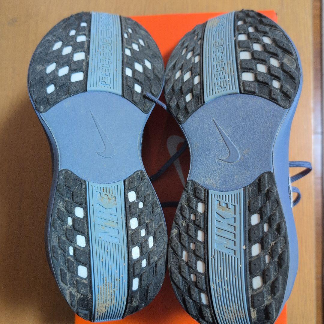 ナイキランニング ペガサス プラス