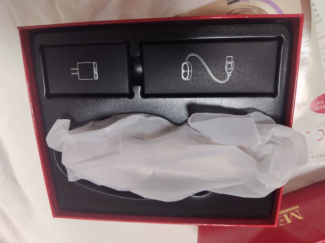 【美品】IKKOプロデュース ME ラボンエクラ 美顔器