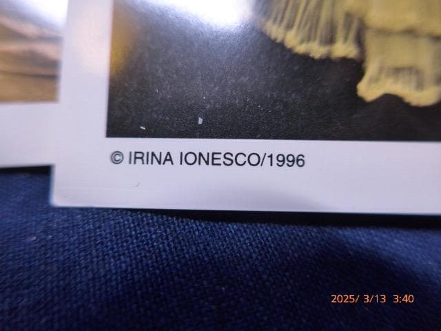 12/13〜14は対応・返信不可　貴重イリナ・イオネスコの絵葉書５点ほか