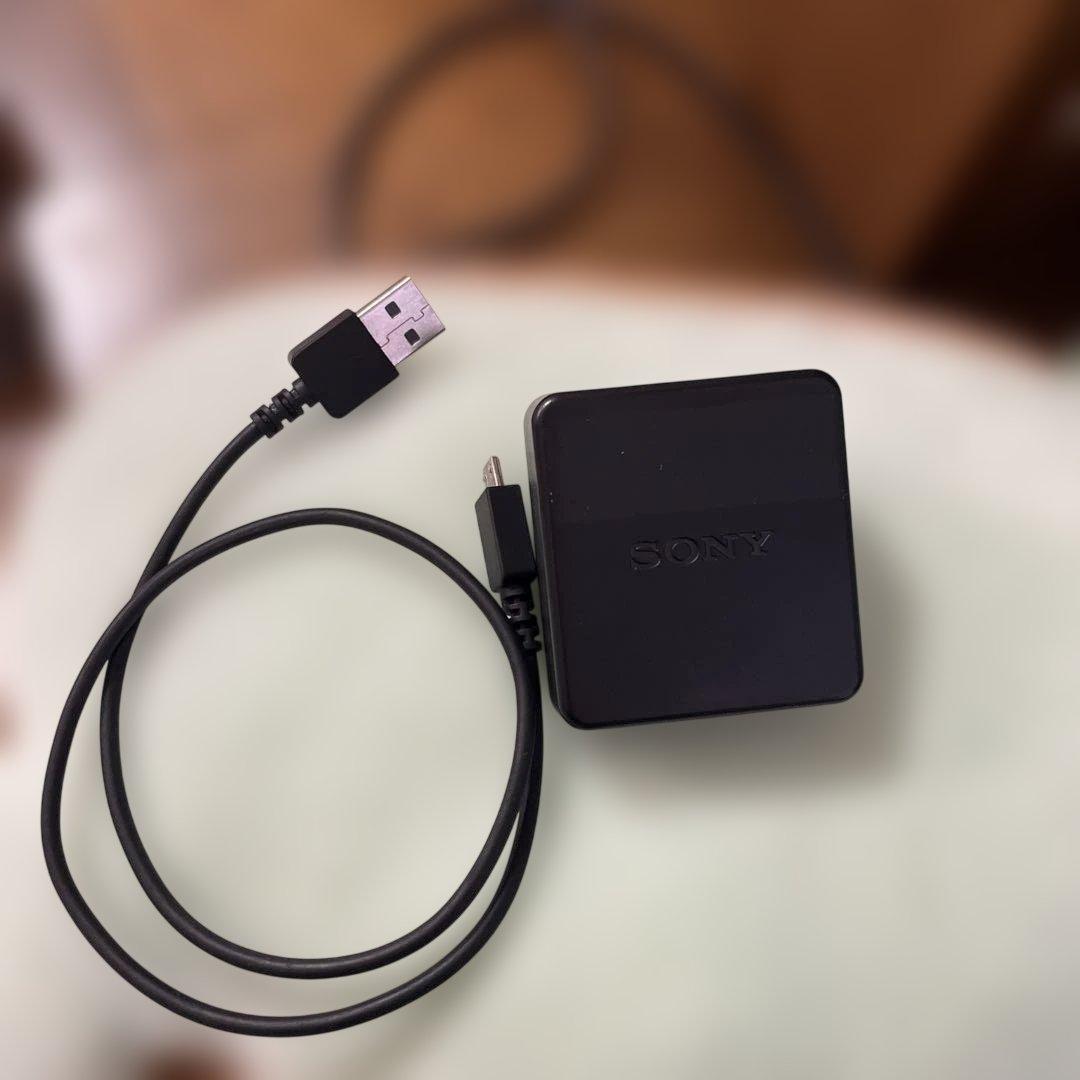 SONY サイバーショット DSC-WX500