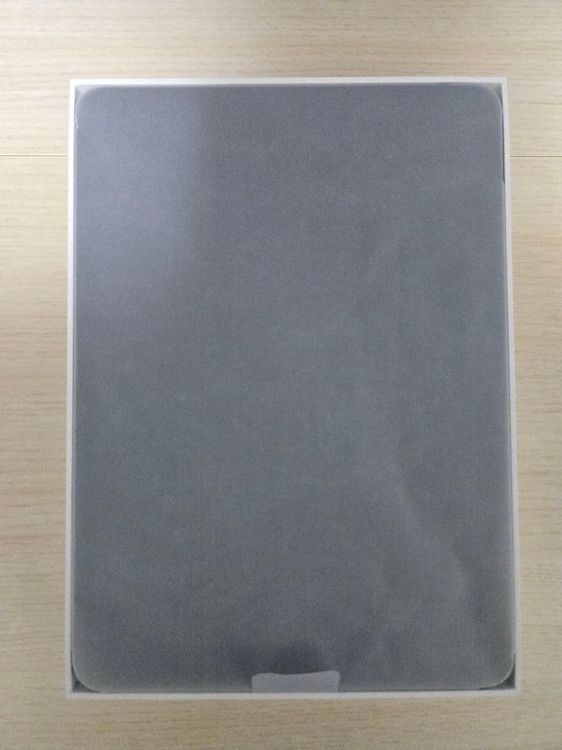 iPad Pro 11 第4世代 256GB　Apple Pencil付き