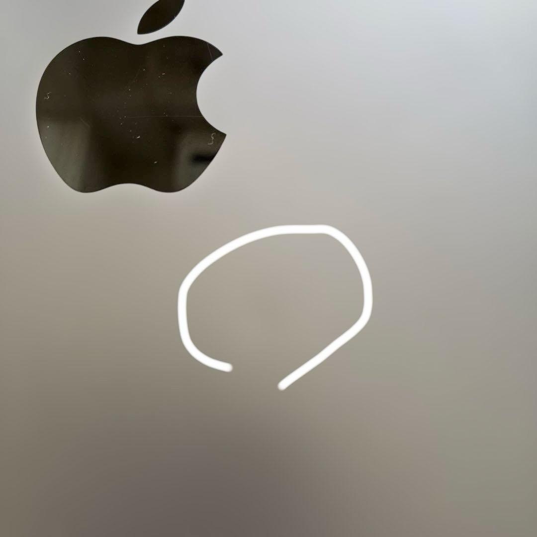 iPad Pro 11インチ 第1世代 256GB スペースグレー Wi-Fi