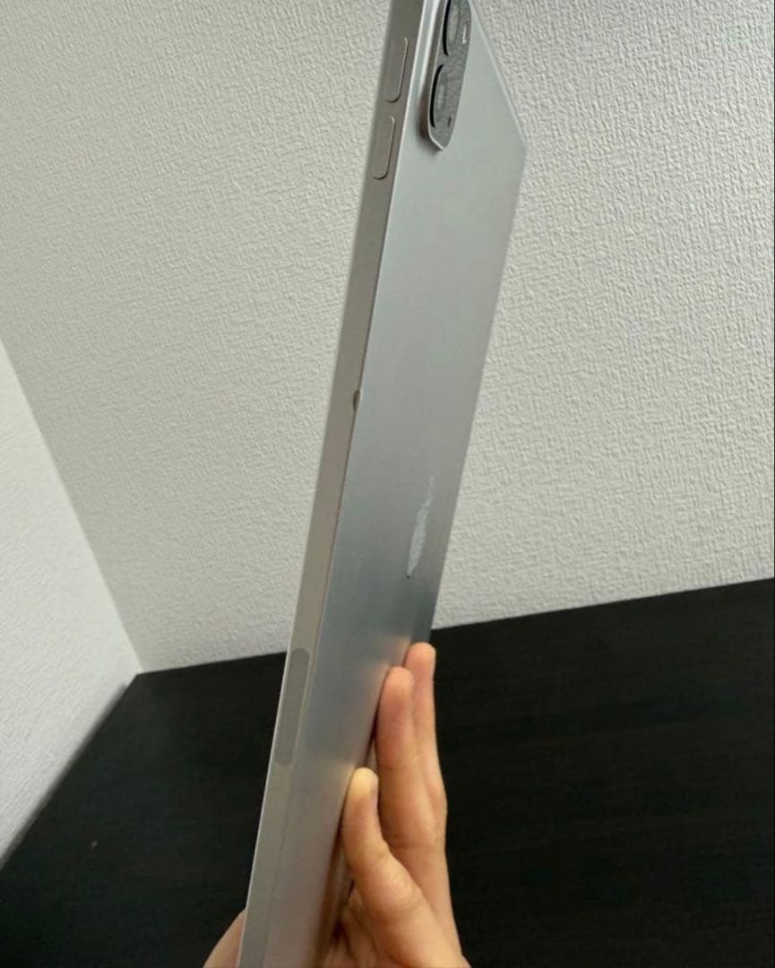 【美品・動作確認済】iPad Pro 12.9インチ 第4世代 256GB