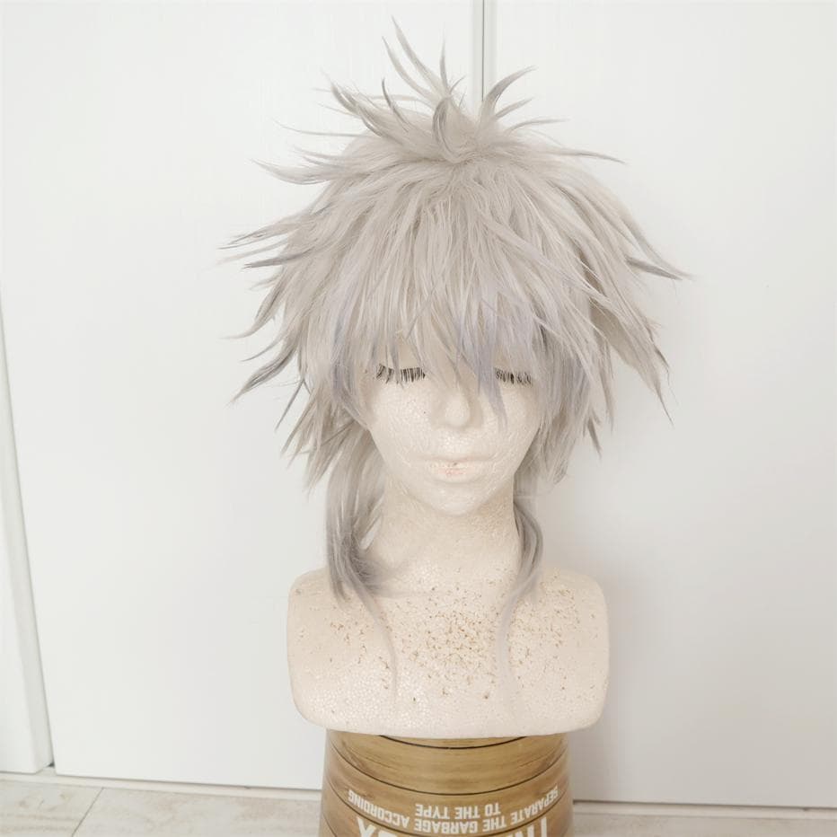 【難あり】　アークナイツ　シルバーアッシュ　衣装＋鳥（テンジン）＋ウィッグ　Ｍ