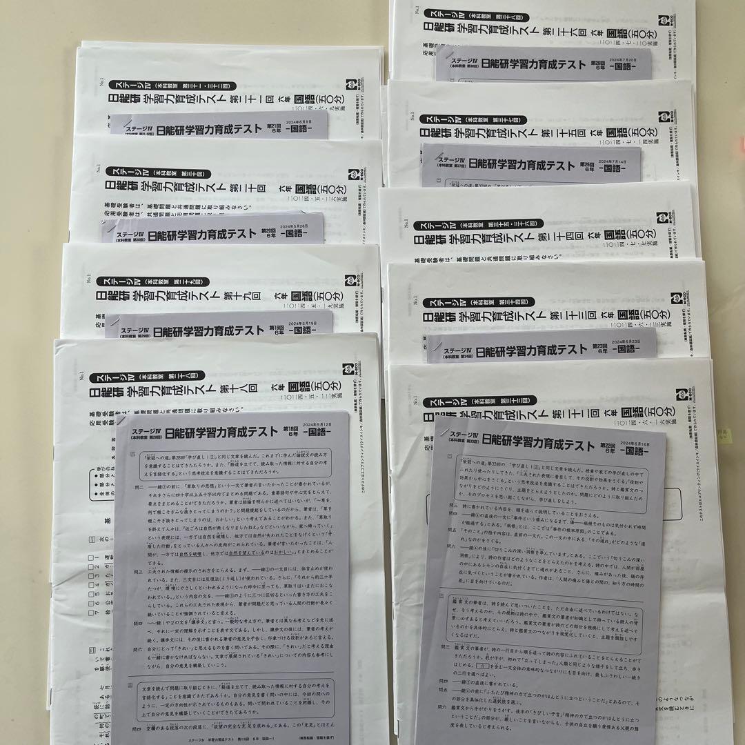 日能研 6年生 2024年 学習力育成テスト