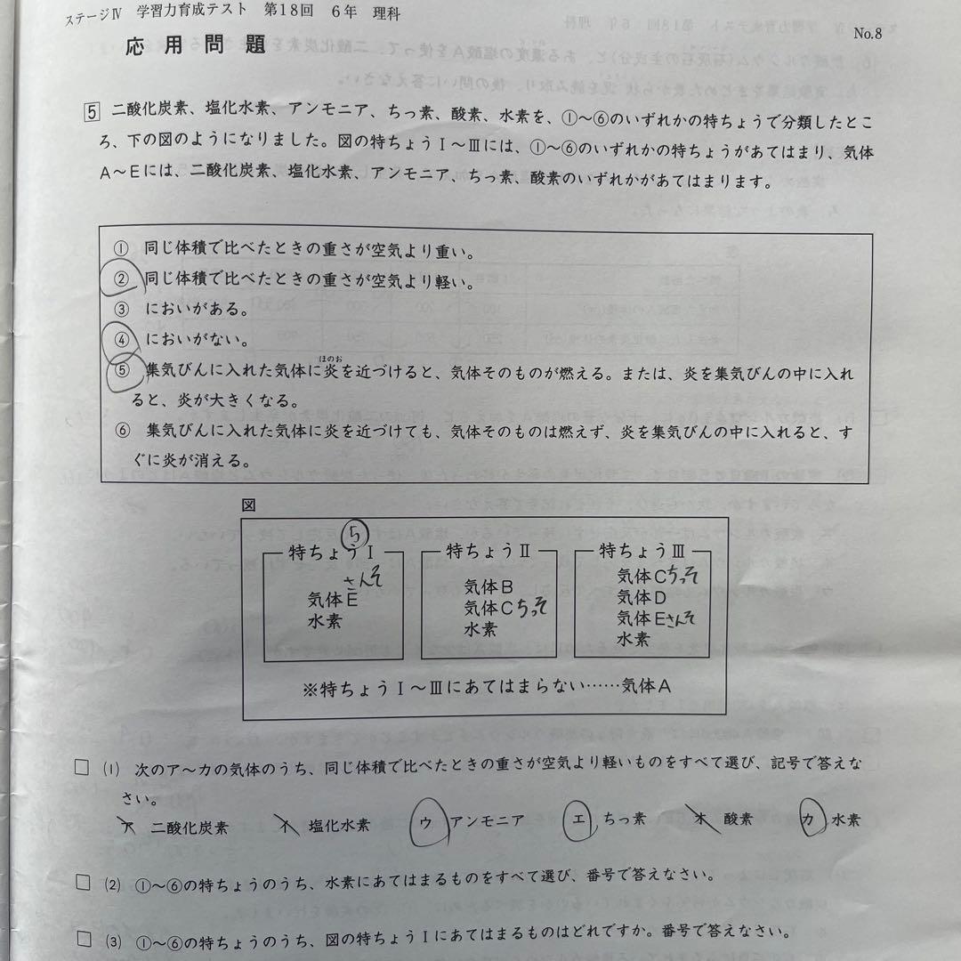 日能研 6年生 2024年 学習力育成テスト