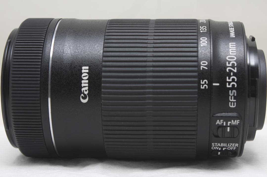 キヤノン EF-S 55-250mm F4-5.6 IS STM 3731