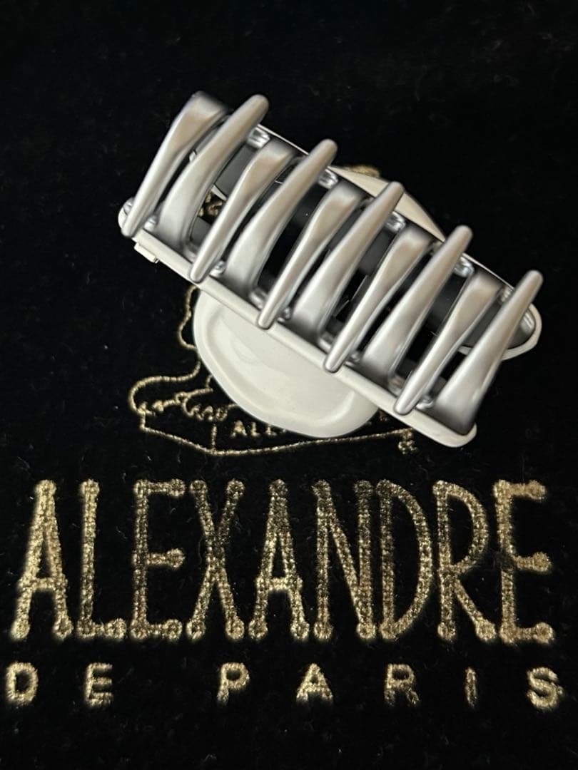 新品 ALEXANDRE DE PARIS ヴァンドームクリップ　1.8㎝2個