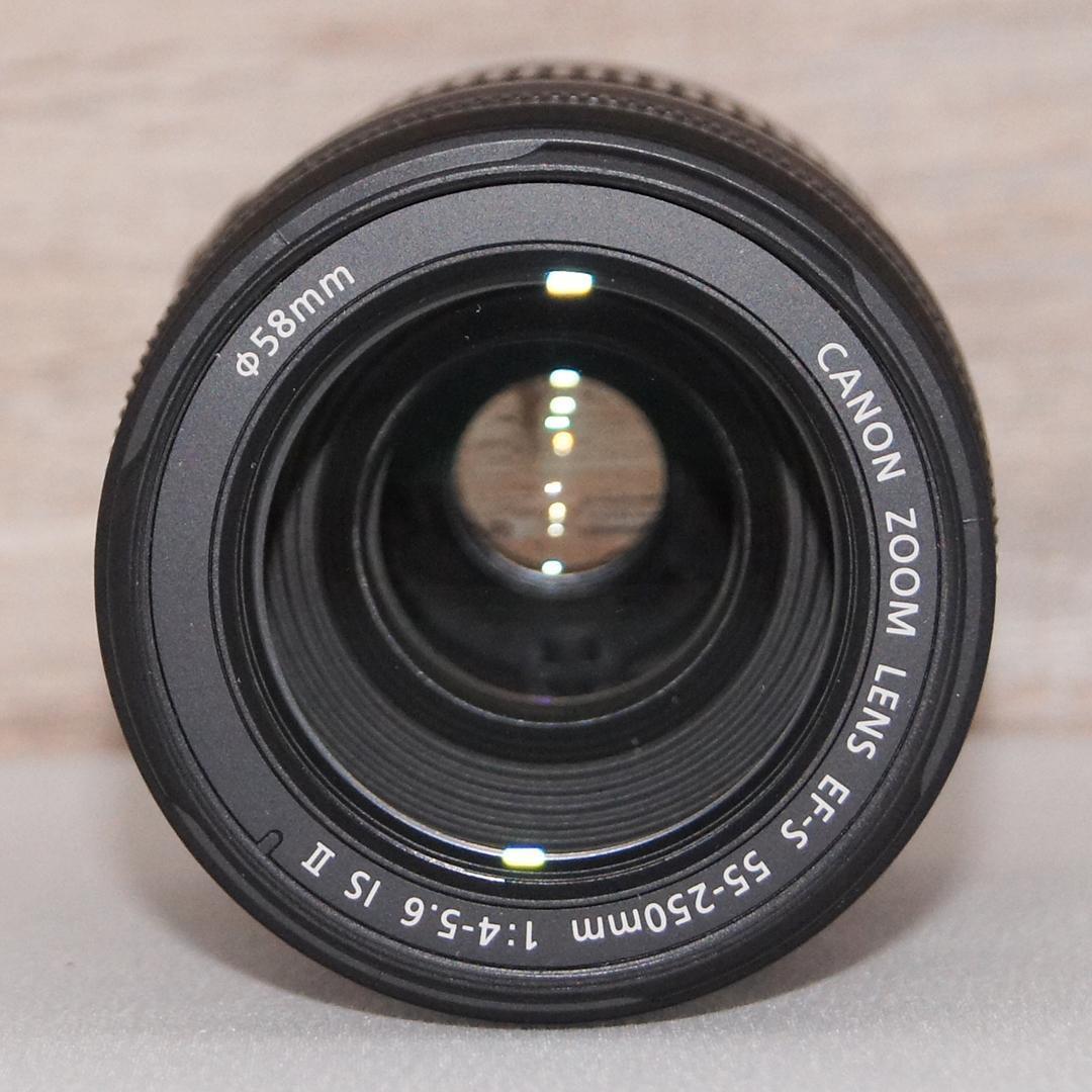 望遠レンズ✨ キャノン EF-S 55-250mm IS Ⅱ 手ブレ補正♡