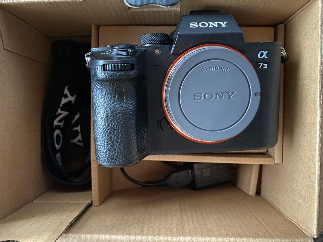 【最終価格】SONY α7ⅲ / TAMRON 28-200mm Eマウント