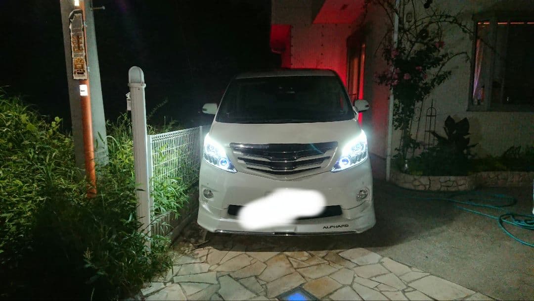 青木勇気様限定