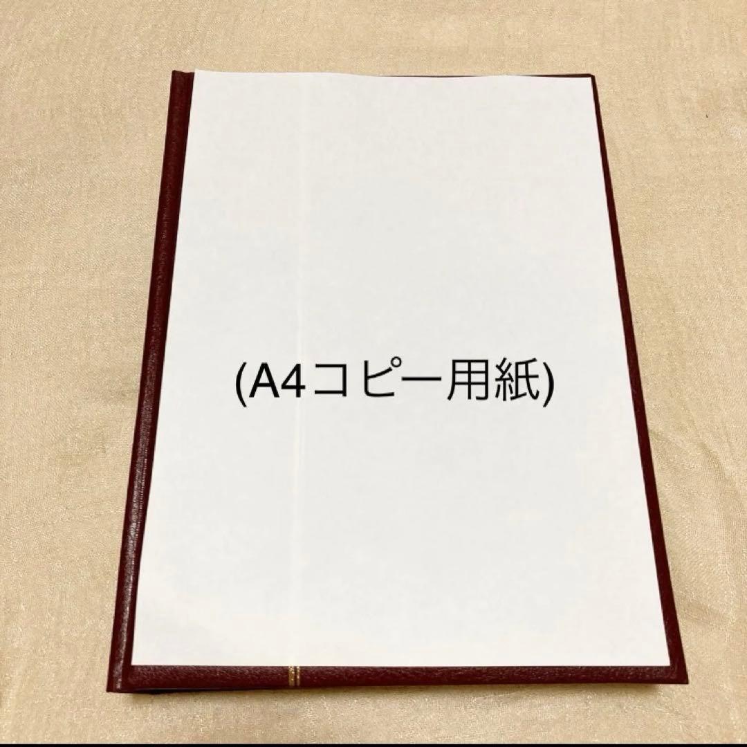 【長期保管未使用】ドイツ製 LEUCHTTURM 切手ストックブック2冊