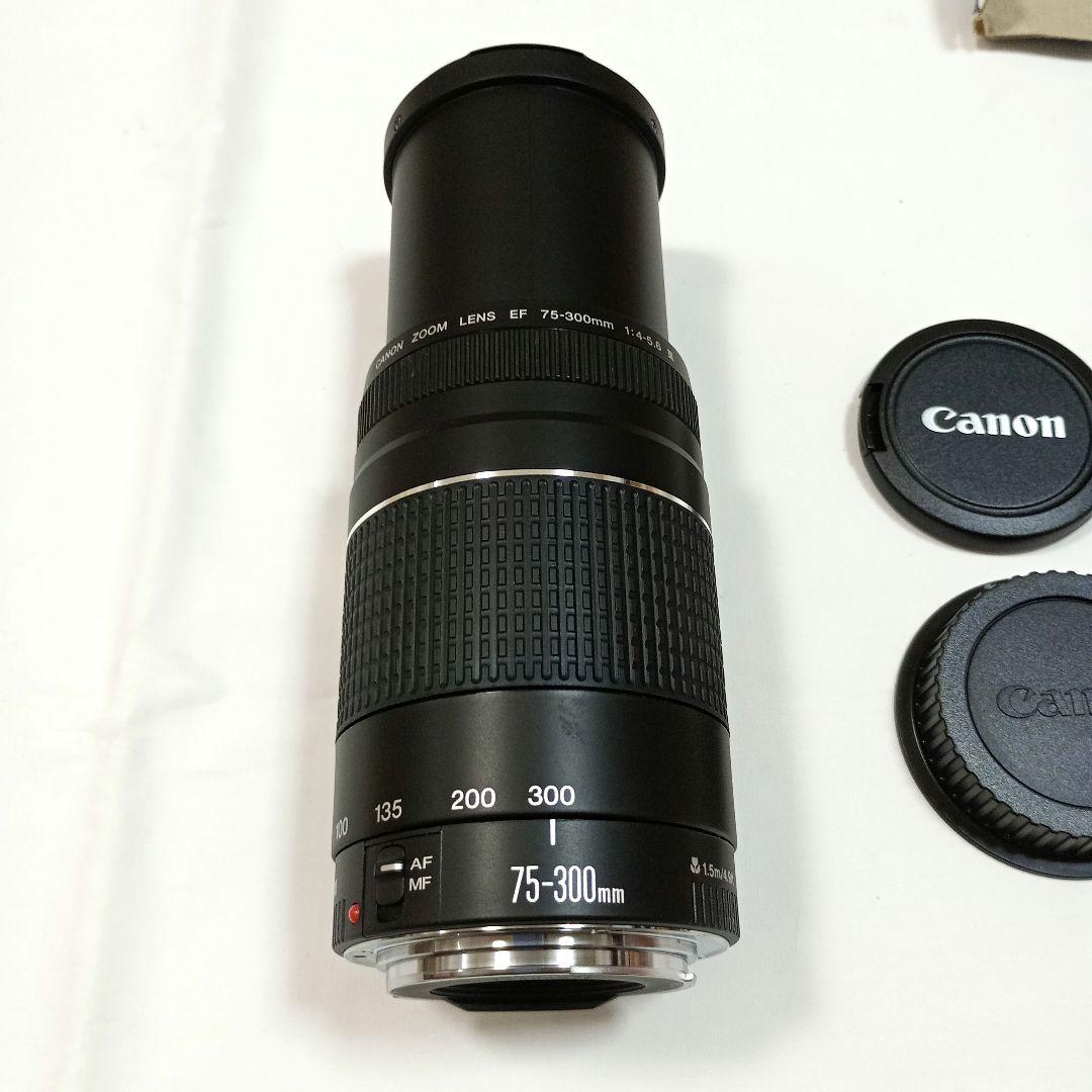 【超美品】望遠レンズ Canon EF75-300mm F4-5.6III