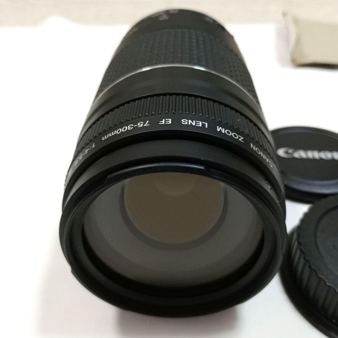 【超美品】望遠レンズ Canon EF75-300mm F4-5.6III