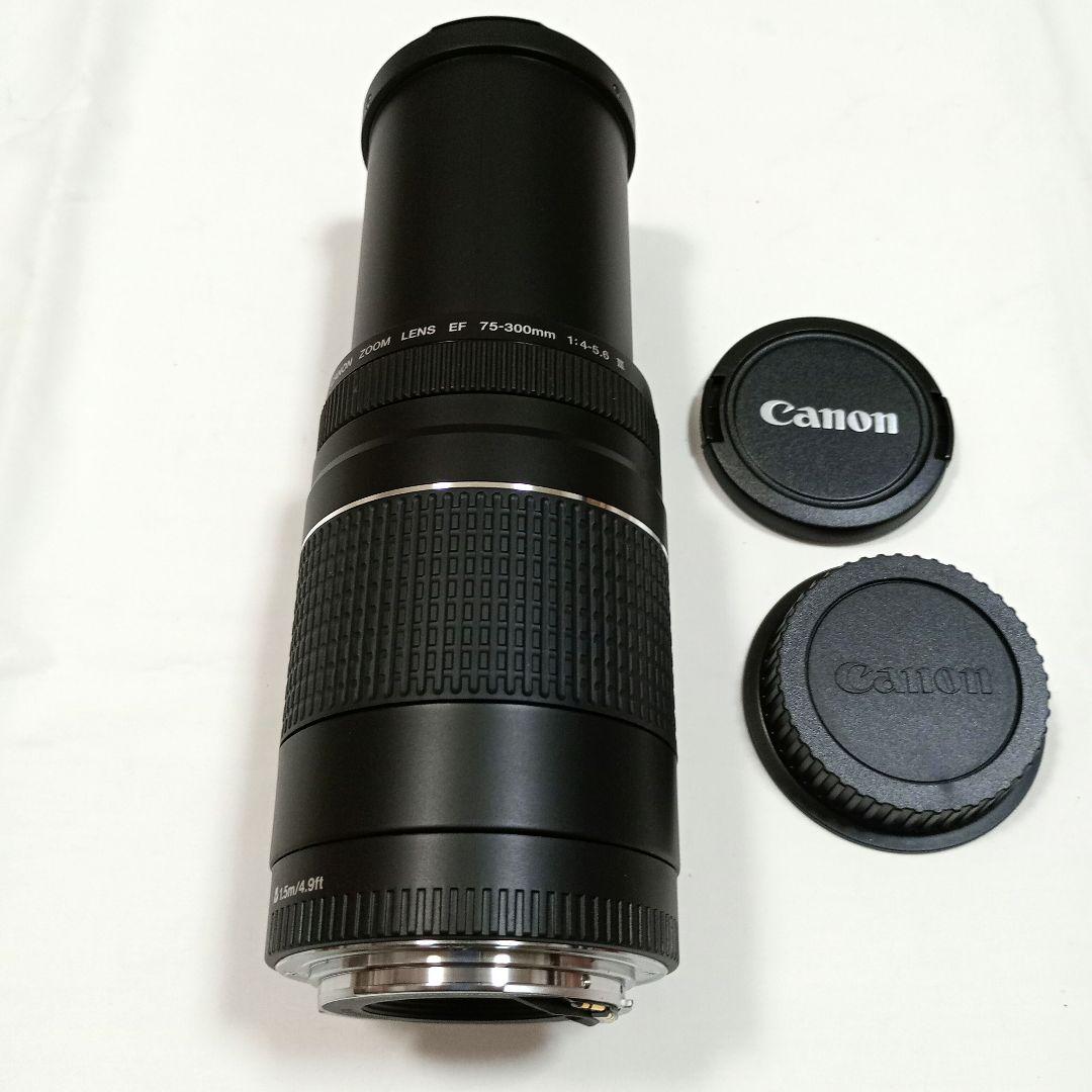 【超美品】望遠レンズ Canon EF75-300mm F4-5.6III