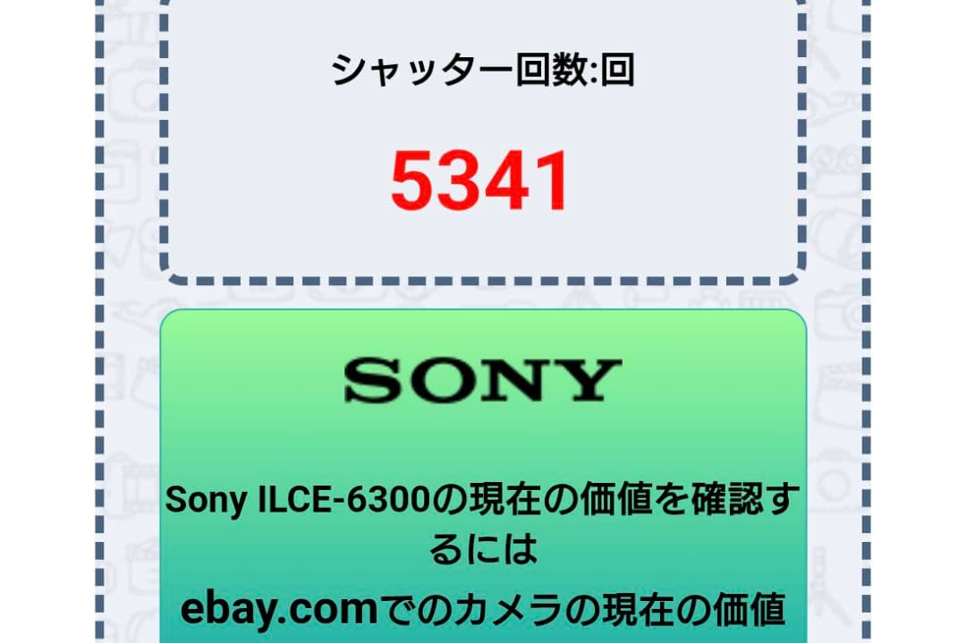 最終値下げSONY α6300 本体とマクロレンズセット