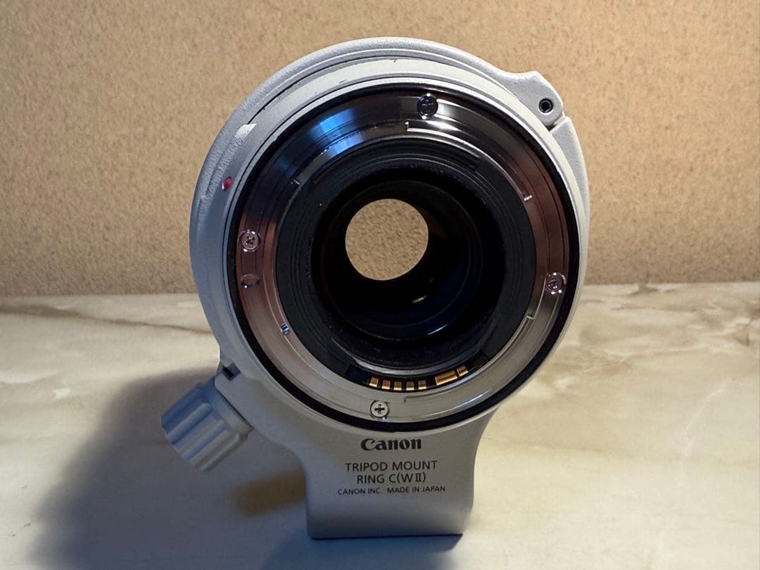 レンズ(ズーム) Canon EF70-300L F4-5.6 IS USM