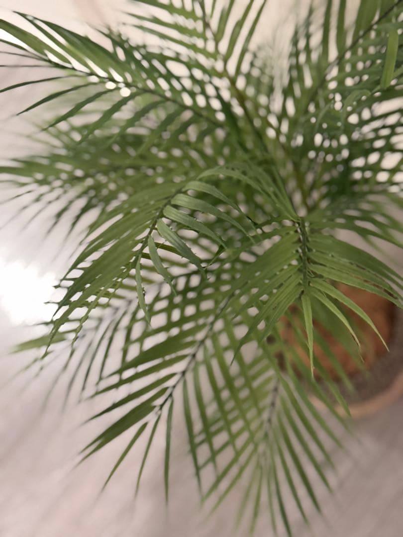 Prima フェイクグリーン 観葉植物 アレカヤシ