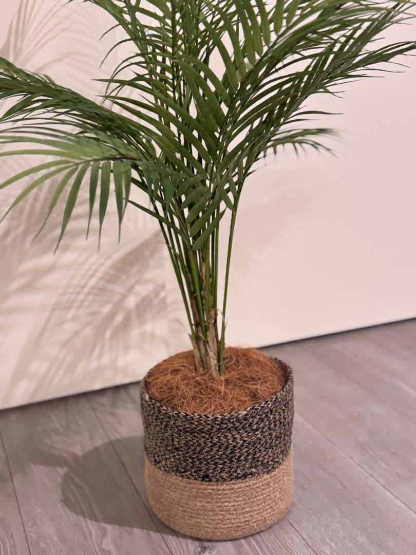 Prima フェイクグリーン 観葉植物 アレカヤシ