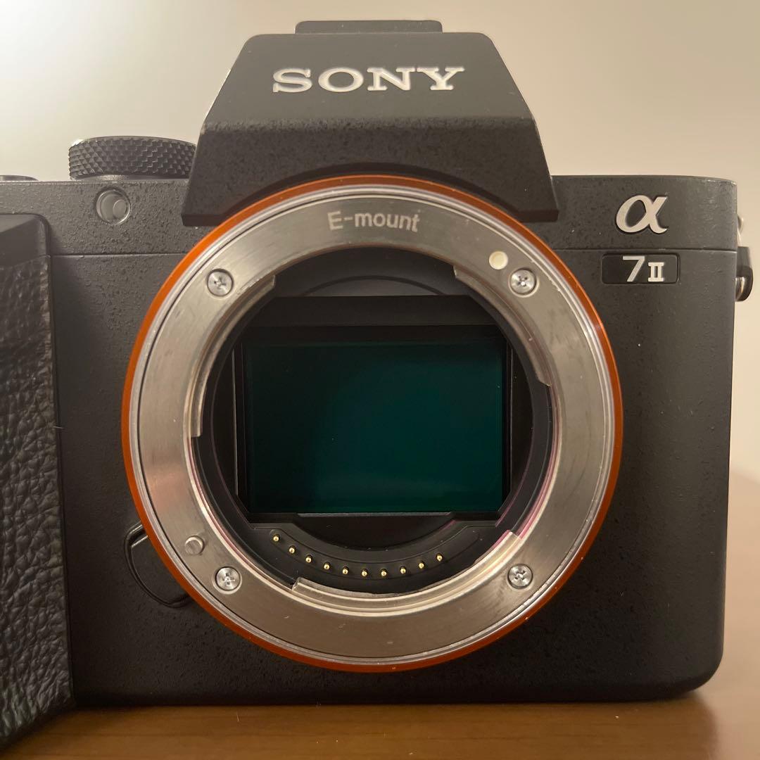 本体小傷程度　SONY α7 II 純正グリップ付き