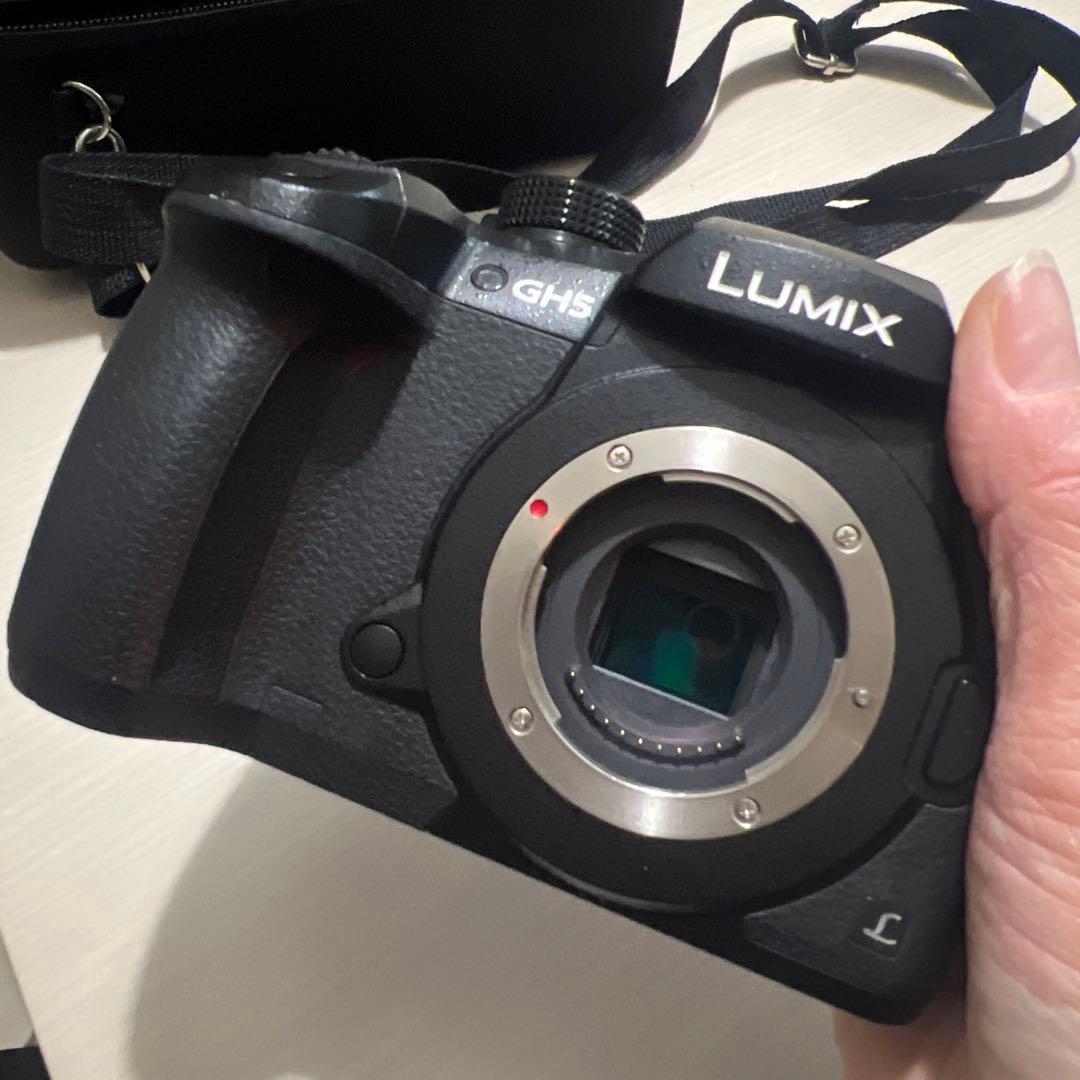 【カメラ】GH5 + 14-140mm 手ブレ補正 高倍率ズーム 動画向けセット