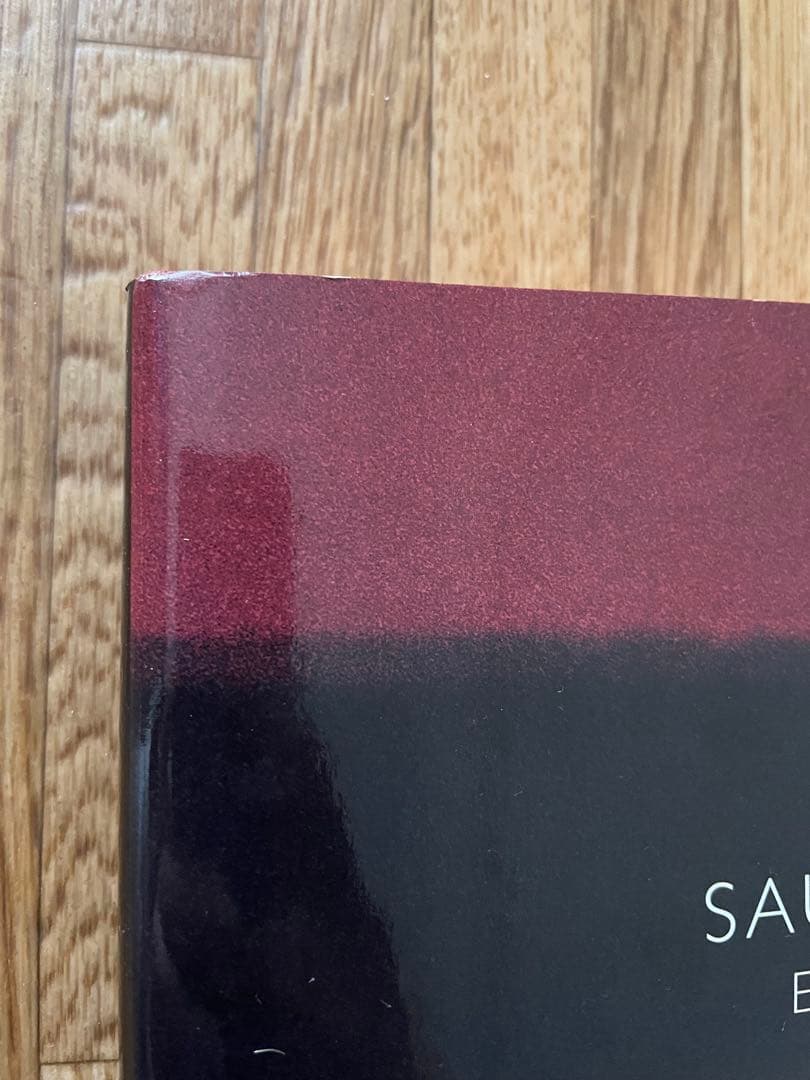 SAUL LEITER / Early Color ソール•ライター写真集