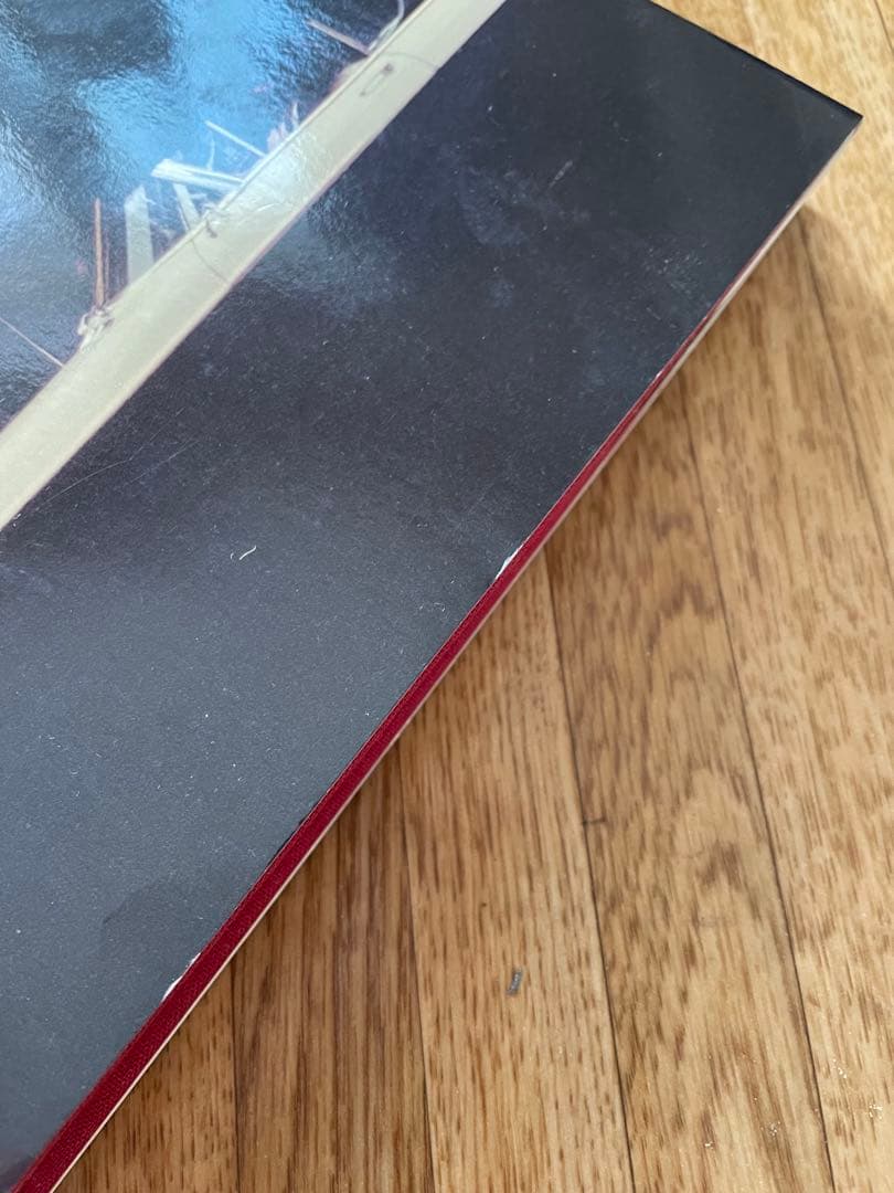 SAUL LEITER / Early Color ソール•ライター写真集