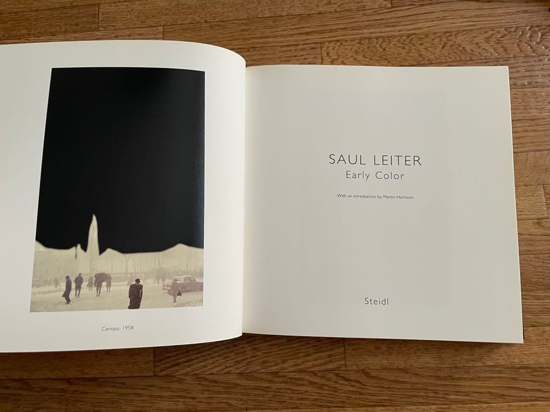 SAUL LEITER / Early Color ソール•ライター写真集