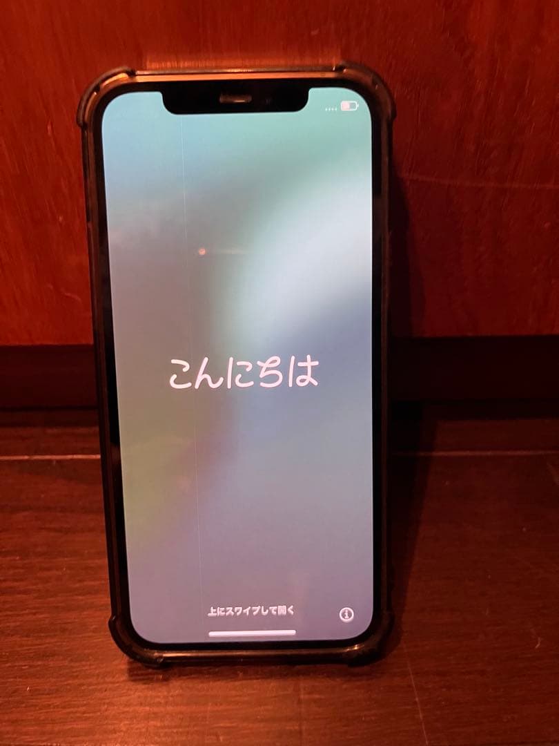 iPhone 12 Pro 本体 ジャンク品