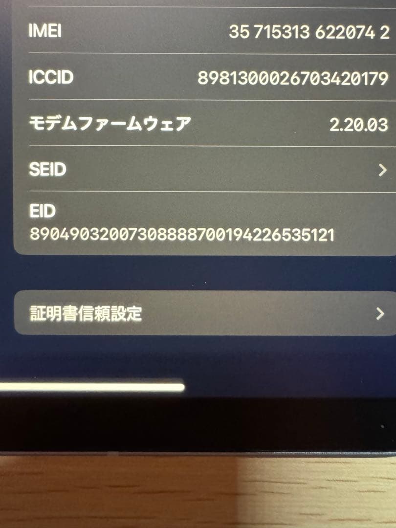 【Wi-Fi + Cellular】iPadmini A17Pro ブルー