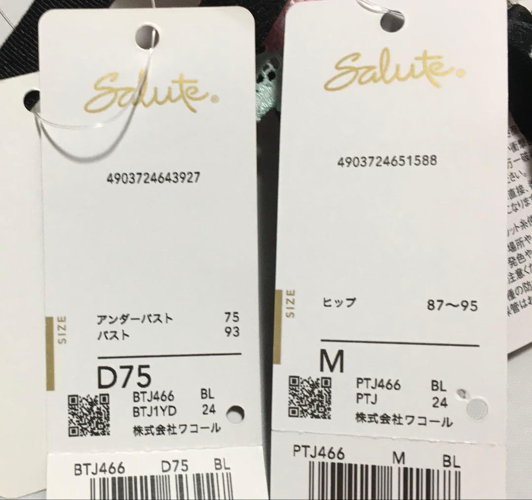 新品　ワコール　サルート 66G ブラジャーD75 ソングM