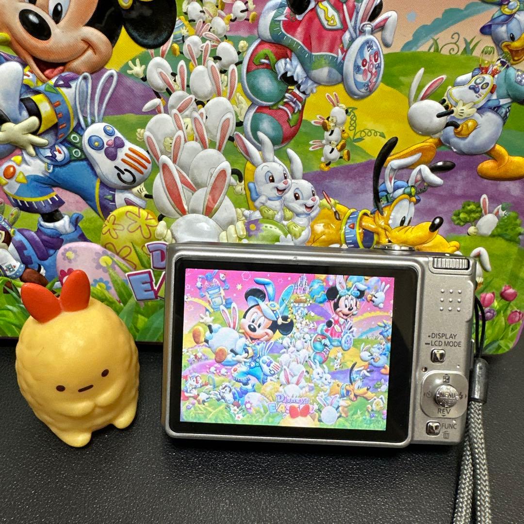 パナソニックPanasonic LUMIX DMC-FX55動作確認済