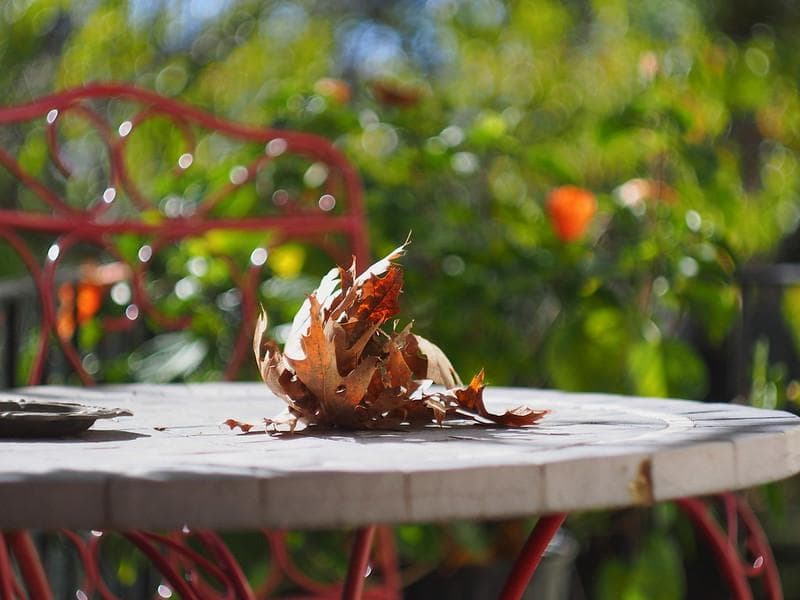 70 デッドストック　ぐるぐるボケレンズ　ヘリオス　44-2　M42アダプター付