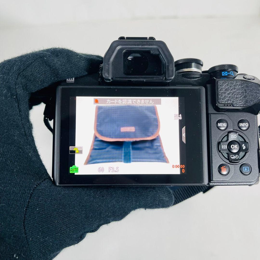 【ショット数2656】 OM-D E-M10 Mark III ダブルズーム