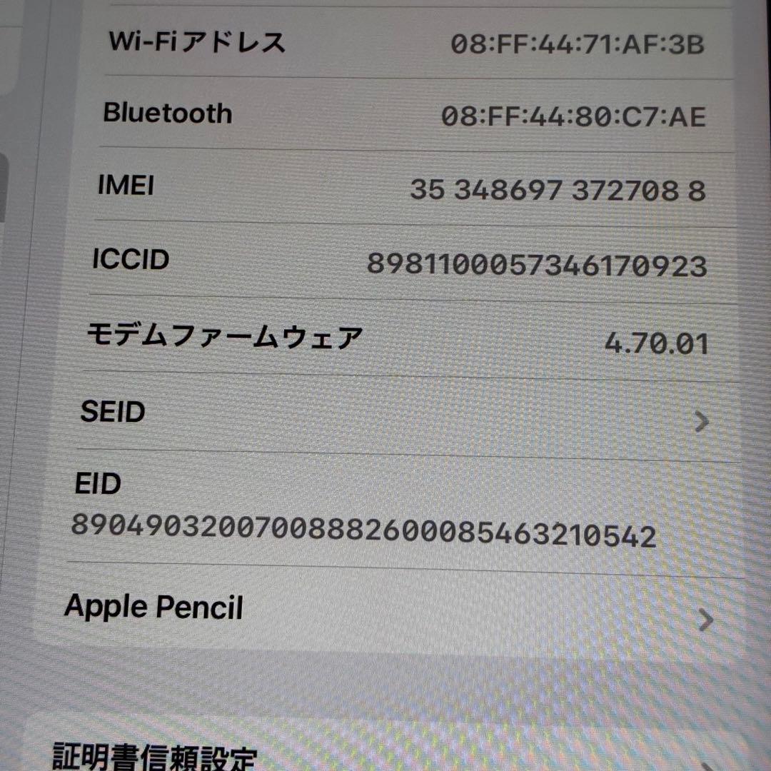 iPad mini (第6世代) 256GB Cellular スターライト