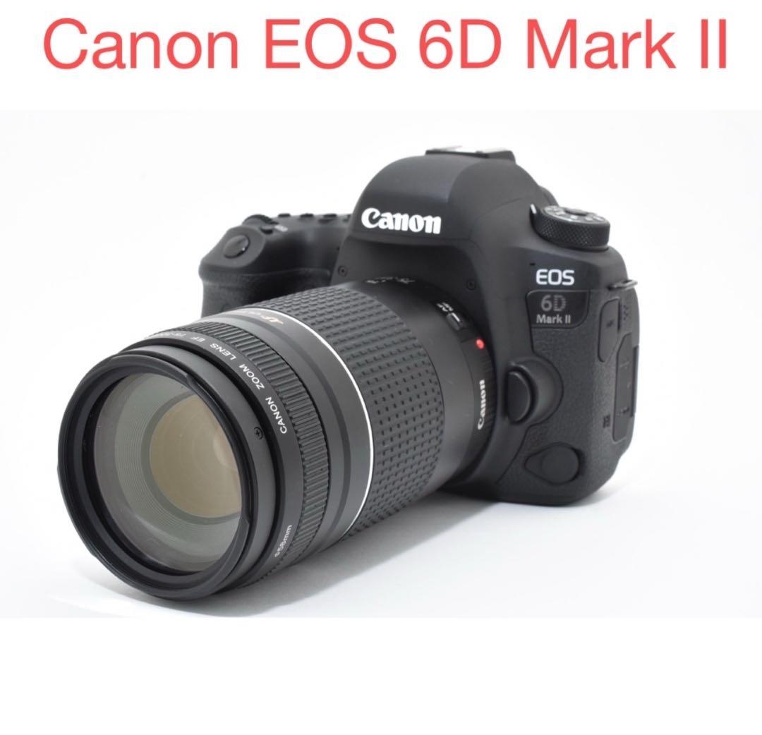 デジタル一眼レフカメラ Canon EOS 6D Mark II望遠レンズセット
