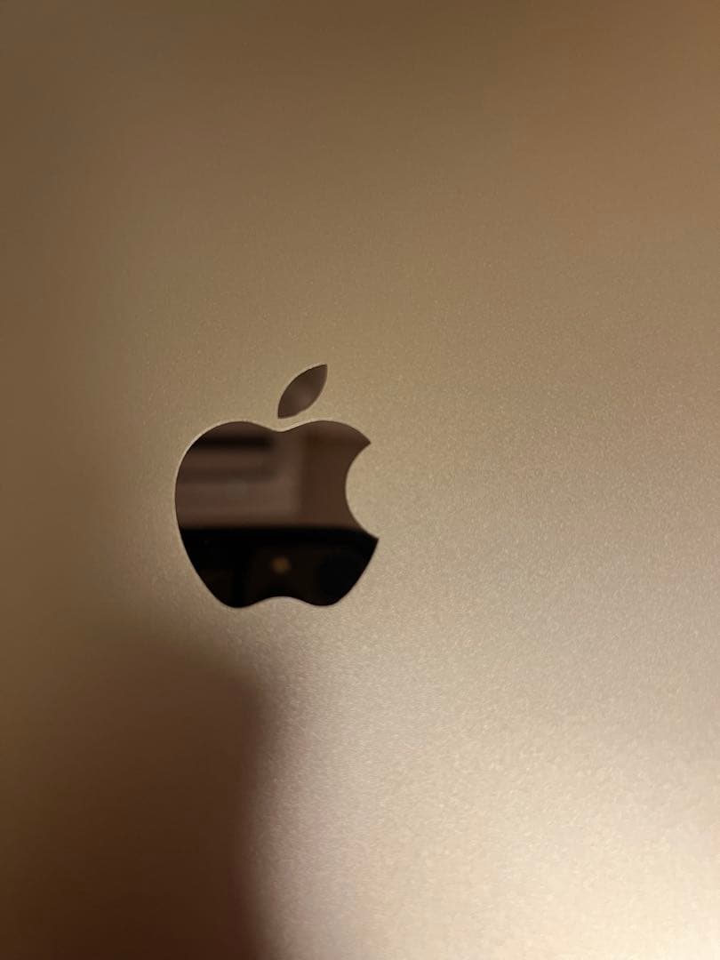 iPad 6世代128gb本体 + エレコム　active touch pen