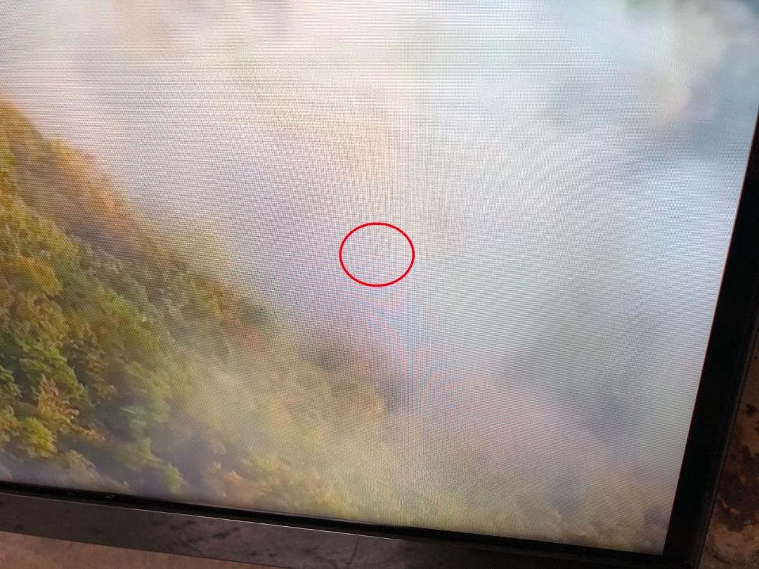 Xiaomi テレビ 43インチ L43M8-A2TWN 2023年製