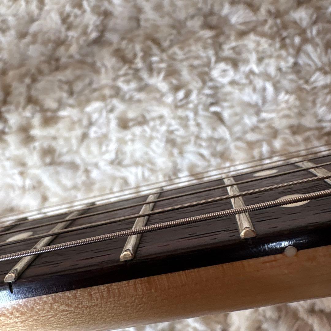 フジゲンmjos 山野楽器✖️saito✖️fujigen コラボギター