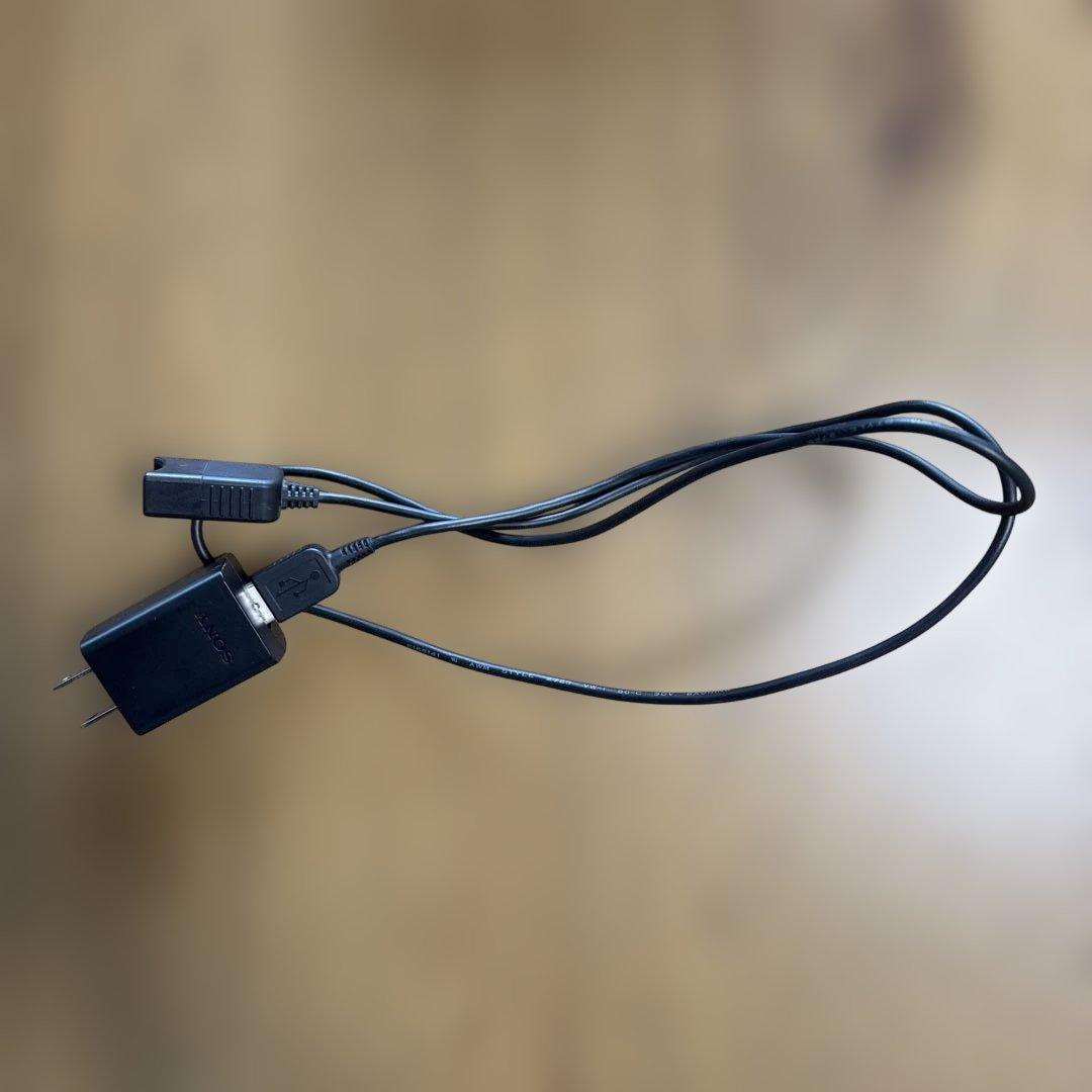 ソニー　HDR-CX535