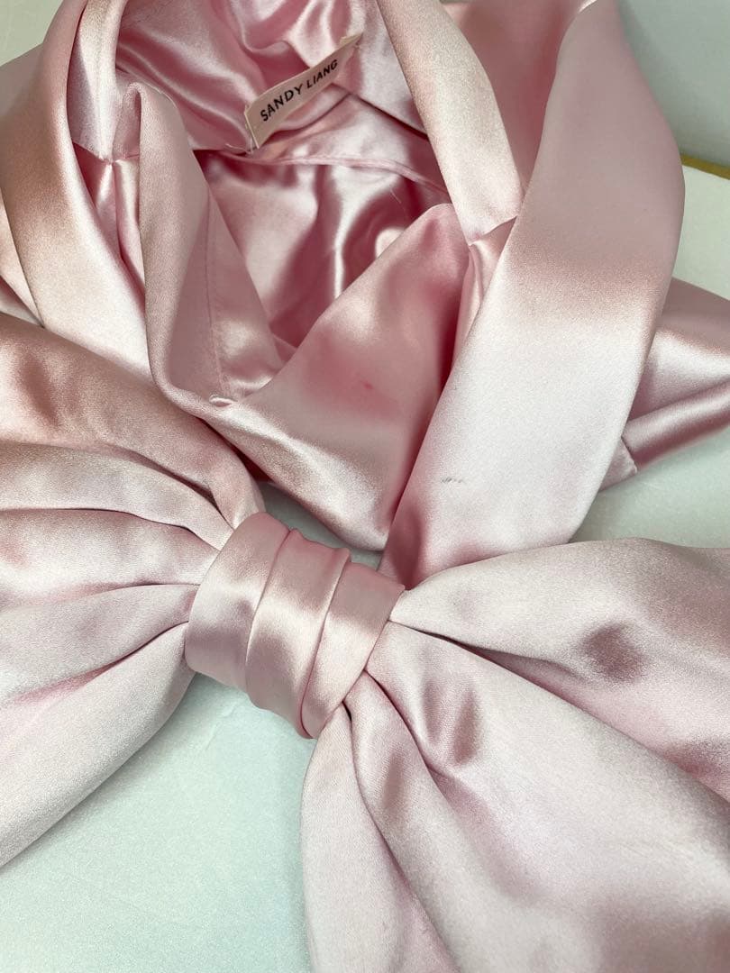 Sandy Liang Regalo Bag In Carnation バッグ