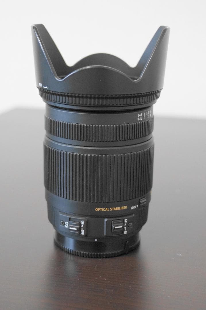 SIGMA 18-250mm 1:3.5-6.3 DC OS HSM ソニー用