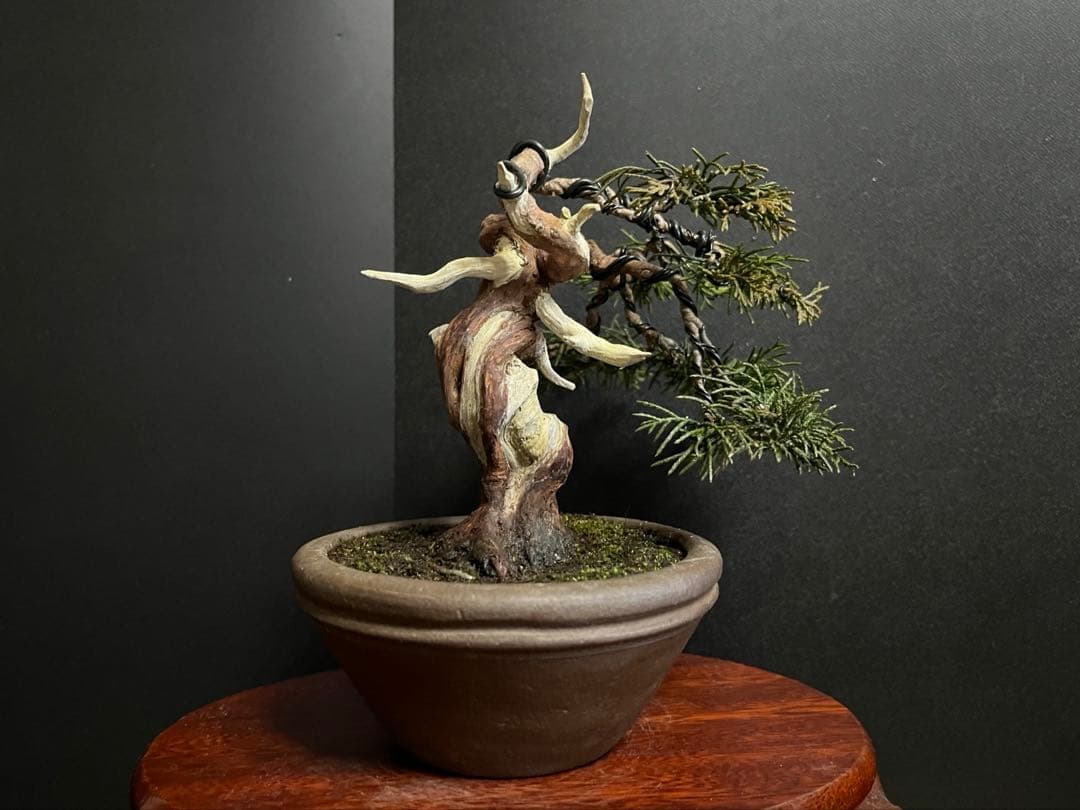 真柏盆栽　糸魚川真柏　古木　捻転シャリ　小品盆栽ミニ盆栽 樹高12cm 喜仙鉢