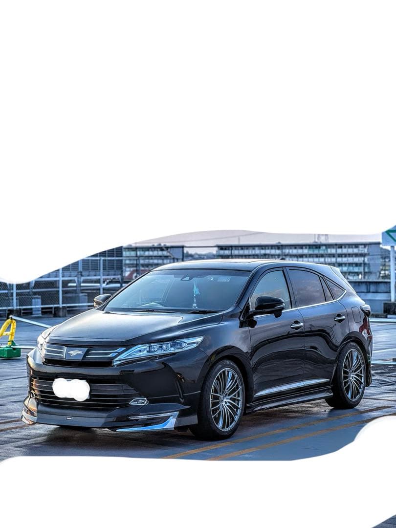 60 ハリアー タナベサステックプロCR