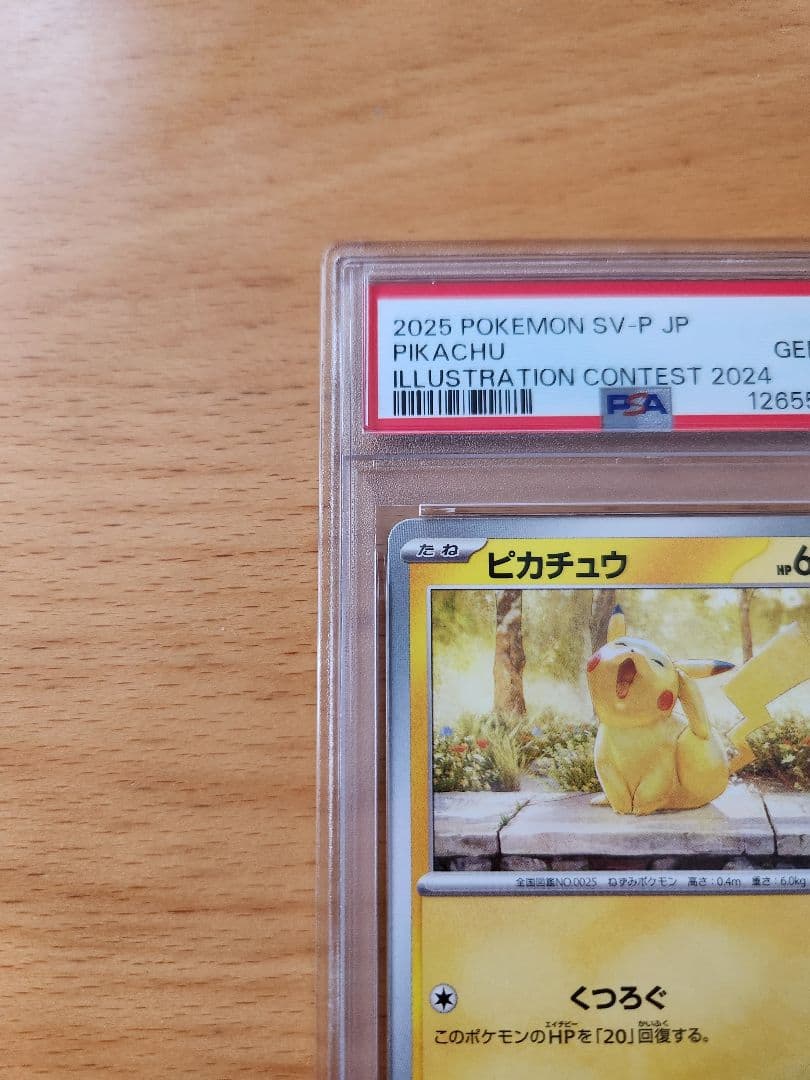 PSA10 ピカチュウ イラストレーション コンテスト プロモ 2024 ②