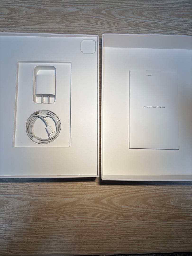 【Apple Pencil付】iPadPro第4世代Wi-Fiモデル256GB