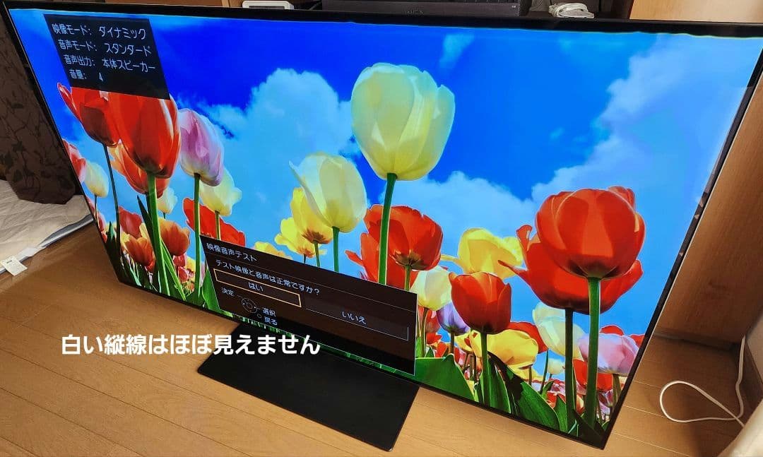 【訳あり】Panasonic 有機ELテレビ th-55fz950