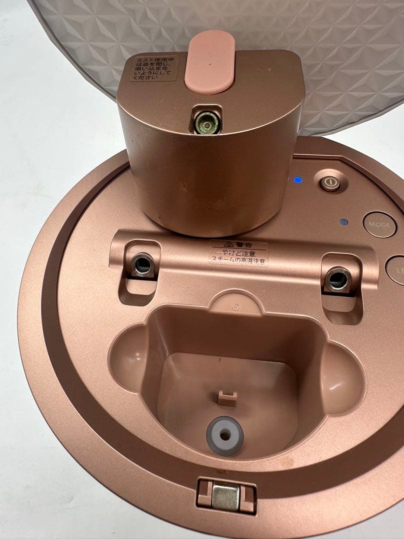 ☆ YA-MAN ヤーマン フォトスチーマー IS-100P