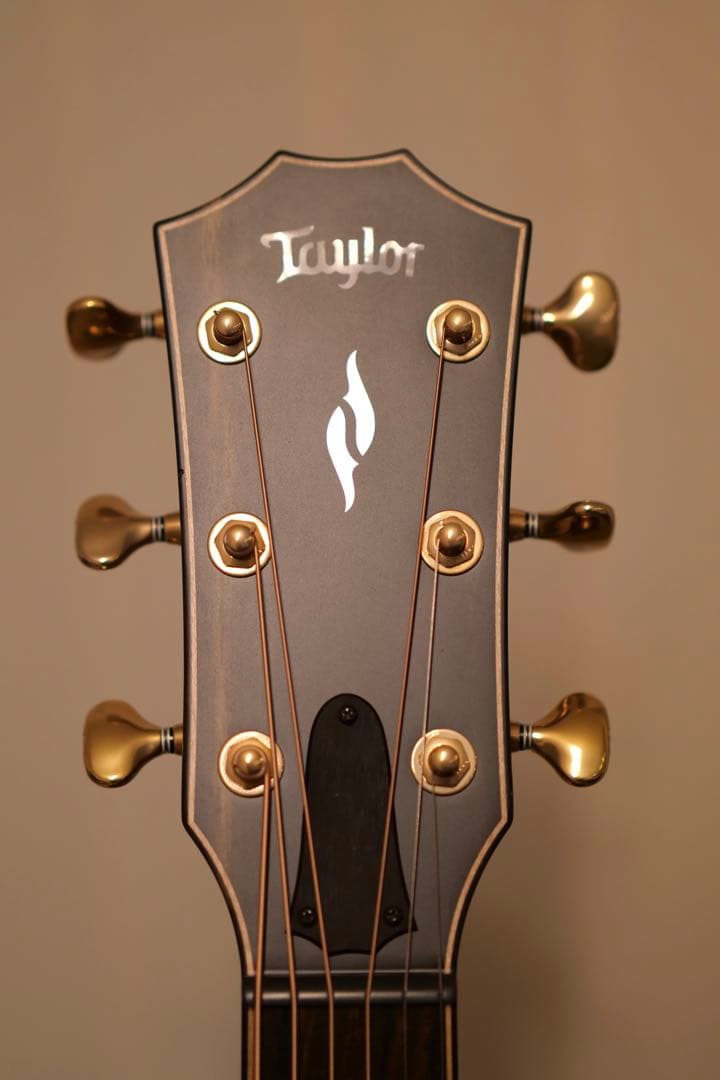 【早い者勝ち】　Taylor Builder’s Edition 814ce