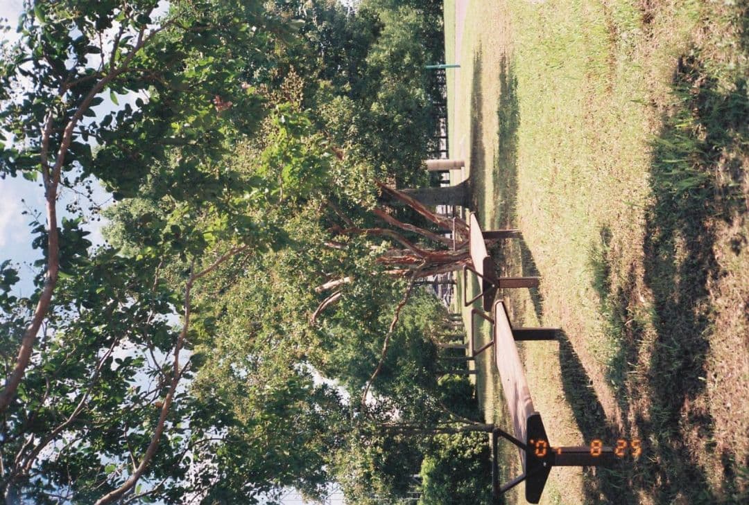 Nikon L35AD コンパクトフィルムカメラ